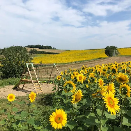 les gîtes d'en Julio Puylaurens Extérieur photo